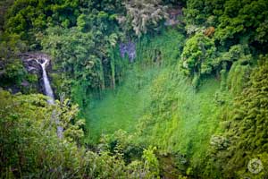 Maui waterfall road to hanna photographed by Yonit Schiller © 2015 יונית שילר