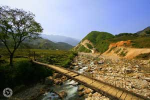 bridge vietnam sapa photographed by Yonit Schiller © 2015  יונית שילר